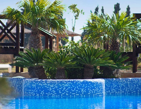 Escapade relaxante avec demi-pension et accès à l'espace bien-être - 4* - 5