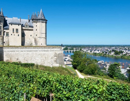 Weekend à Saumur avec croisière sur La Loire - 4* - Saumur, Centre - Image 1