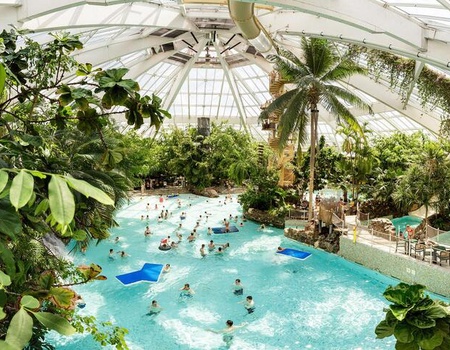 Domaine de Vossemeren Center Parcs - Lommel, Belgique - Image 1