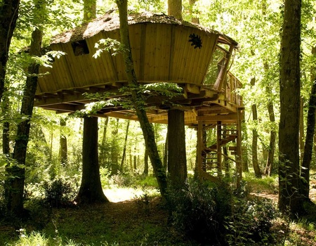 Escapade dans les arbres avec accès 3 jours au Futuroscope (35 minutes) - 2* - Parc Futuroscope, Centre - Image 3