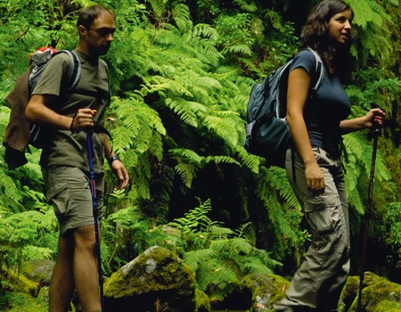 Circuit Madère Saveur Rando 4* - 5