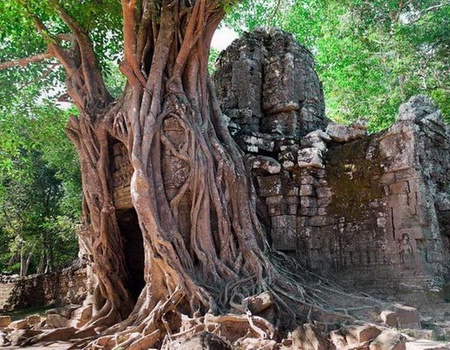 LA CANTATE EXT HALONG PT SUPERIEUR CAT DELUXE - 3