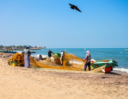 Combiné circuit et hôtel Intense Sri Lanka (collectif) & plage au Framissima Heritance Ahungalla - 2