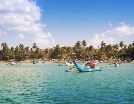 Circuit privé Ceylan buissonnier - 4