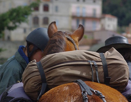 Circuit avec Randonnée itinérante à Cheval dans le désert (6 jours à cheval) - 5
