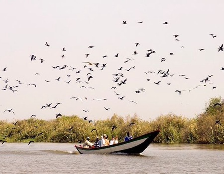 Circuit privé : Sénégal Colonial et Nature - 5