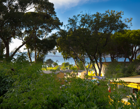 Camping Clair de Lune 4* - 1