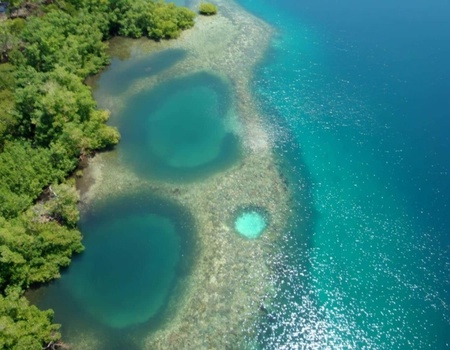 Découverte du Costa Rica avec balnéaire au Panama - San Jose, Costa Rica - Image 3