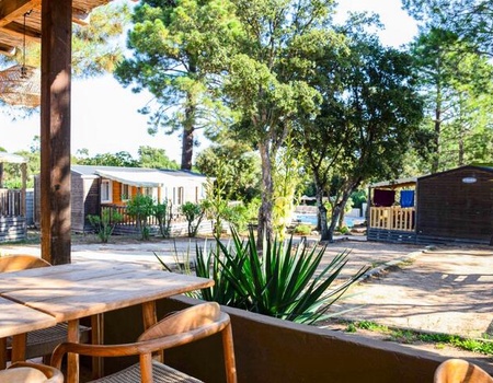 Résidence de Plein Air Campo Di Mare - Camping Maeva - Corse du Sud - Porto Vecchio, Corse - Image 5