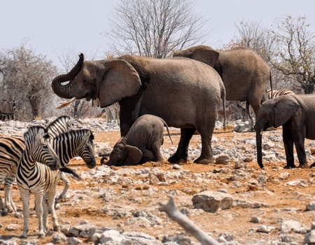 Grand Tour De Namibie 2026 - Namibie, Afrique Océan Indien - Image 3