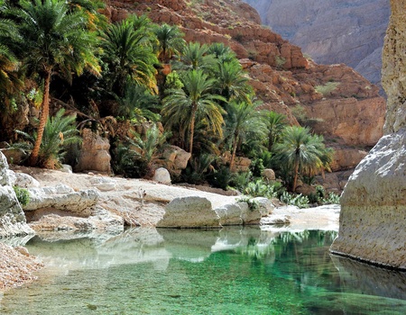 Sur la route : Oman - 8J/7N - 2