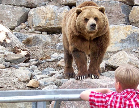 Road Trip Le Québec en famille (ex Family Fun) - 2
