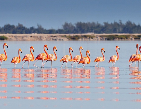 Hola Mexico en privatif - 12J/10N - 3