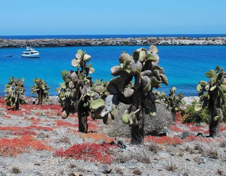 Splendeurs de l'Equateur & Extension Galapagos Terrestre 15J/13N - 2025 - 1