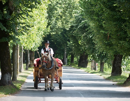 Circuit Secrets de la Slovénie - 2