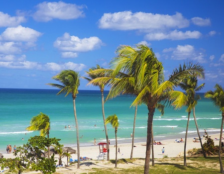 Hôtel Adult Only - Starfish Cuatro Palmas **** - 1