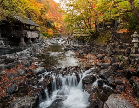 Combiné de séjour au coeur des Mégalopoles du Soleil Levant - 14J/11N - 2025 - 5