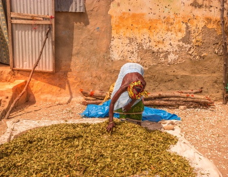 Circuit Beautés et sensations en pays Bassari en privatif - 3