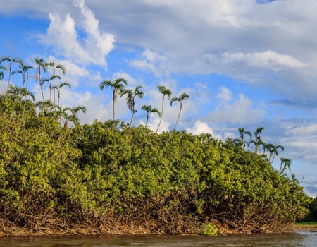 Circuit L'Équateur entre nature et authenticité + pré-tour Amazonie (maximum 16 participants) - 1