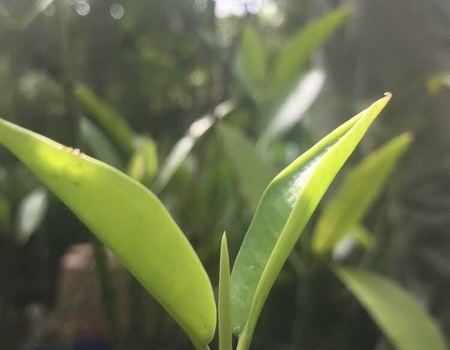 Circuit Koggala : déconnexion totale en pleine nature - 5