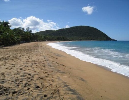 Résidence hôtelière Résidence Fleurs des Iles ** - 2