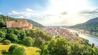 Croisière et randonnées dans la vallée du Rhin - Histoire, traditions et ambiance rhénane (formule port/port) - Strasbourg, Nord & Est - Image 4