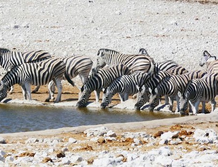 Merveilles de Namibie & Séjour Chobe & Chutes Victoria 18J/15N - 2026