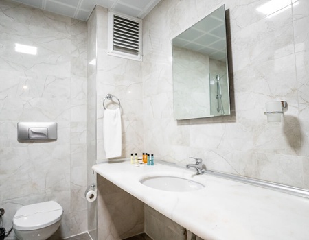 Sveo Hotel Istanbul (ex. Carlton Hotel) - 5