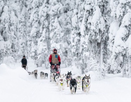 Hôtel Pite Havsbad - Séjour au coeur de la Laponie Suédoise - 2