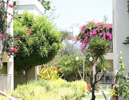 Hôtel Mandarin Resort - 4