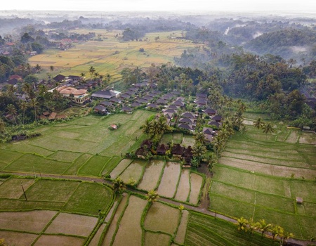 Duo Ubud, Nusa Dua : Kappa Senses 5* & Nusa Dua Beach Hotel and Spa 5* Handwritten Collection - 5