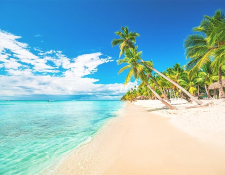 Sunscape Coco Punta Cana 4* - 4