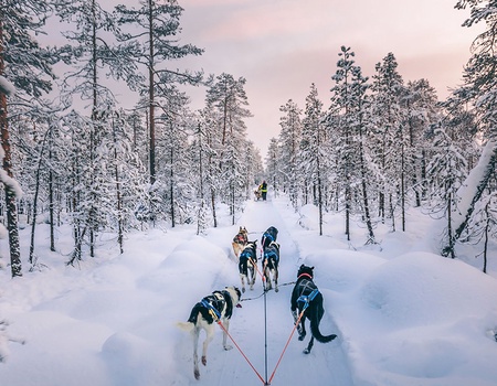 Hôtel Nilimella - Finlande, Europe du Nord - Image 1