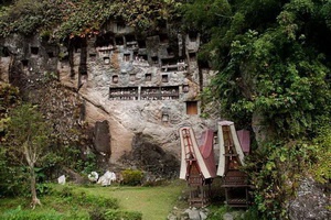 Bali Intimiste + extension Célèbes - 2