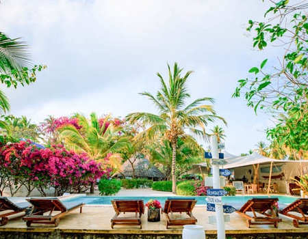 Hôtel Indigo Beach Zanzibar 4* - 4