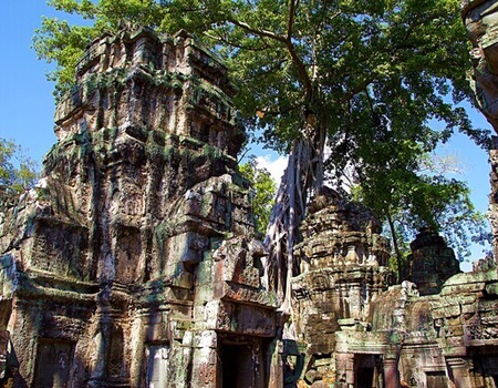 Circuit Lotus du Cambodge - 3