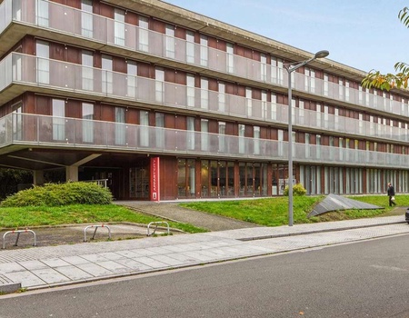 Profitez d'une balade inoubliable en 2CV et explorez Lille avec style - 3* - 2