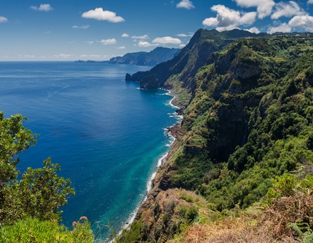 Madère en liberté - Flex - Madère - 1