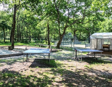 Camping  Les Chèvrefeuilles 4* - Maeva - Charente-Maritime - Royan, Atlantique Nord - Image 5