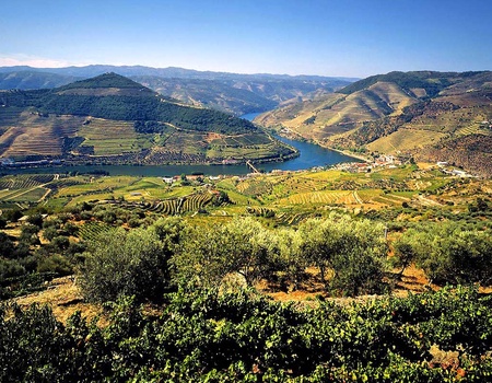 Circuit Saveurs du Portugal 4* - 2