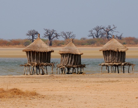 Circuit Au coeur du Sénégal et ses mangroves - 5