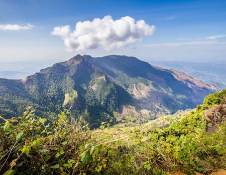 Circuit Découverte et détente au Sri Lanka - 3