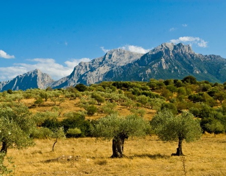 Autotour Toute la Sardaigne - 4