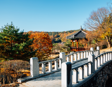 Circuit Corée, Essence du Han - 5