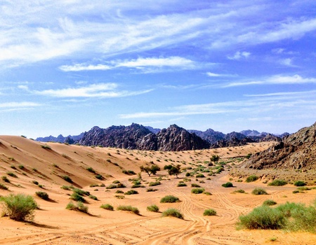 Circuit Grand Tour de l'Arabie Saoudite à la Jordanie