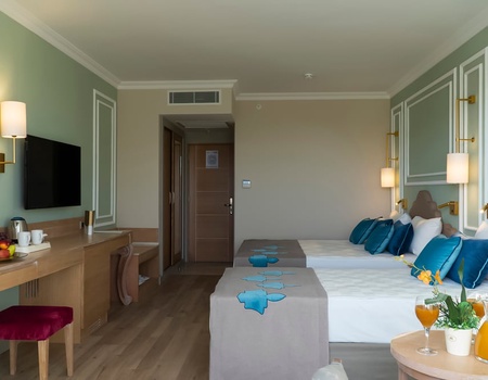 Hôtel Adalya Art Side 5* - 3