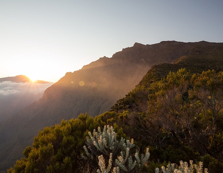 Autotour Les Essentiels de la Réunion - 4