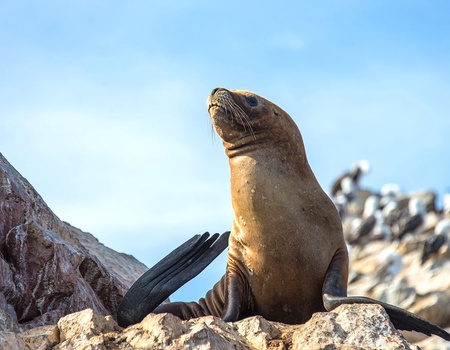 Circuit Le Chemin des Incas - 5