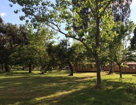 Camping L'Oso 3* - 5