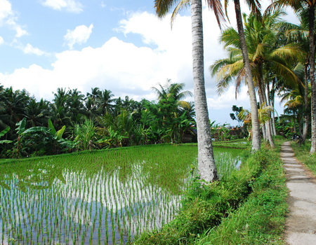Combiné Bali, Ubud et plages PROMO 9 ou 10 jours